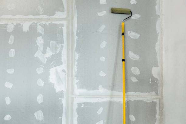 Best Mold-Related Health Consultation  in Dexter, GA
